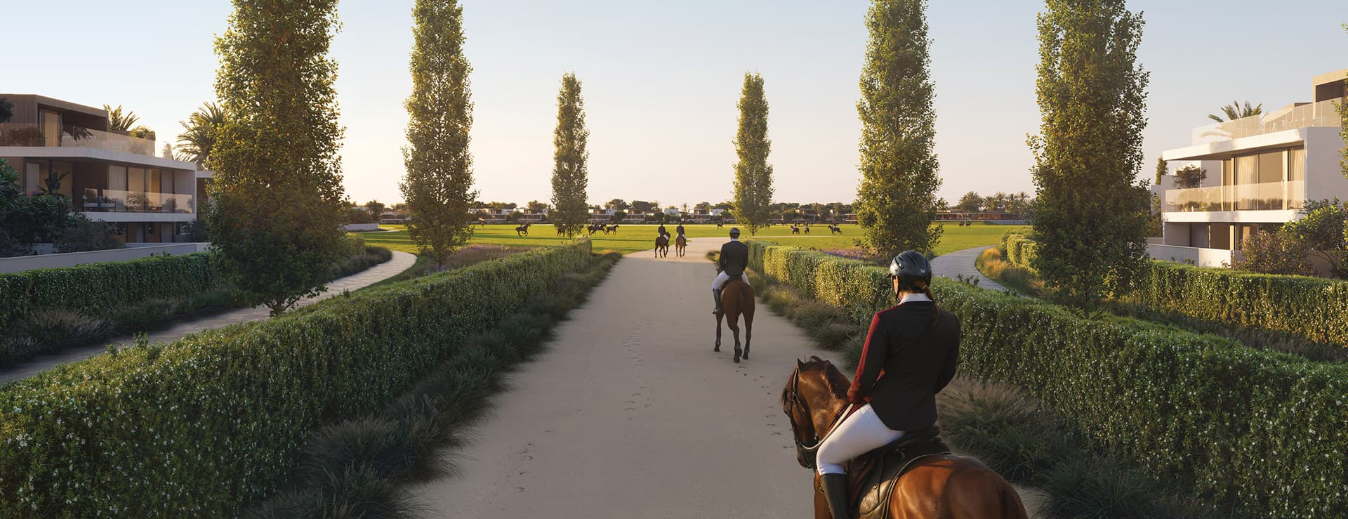 Features and Amenities