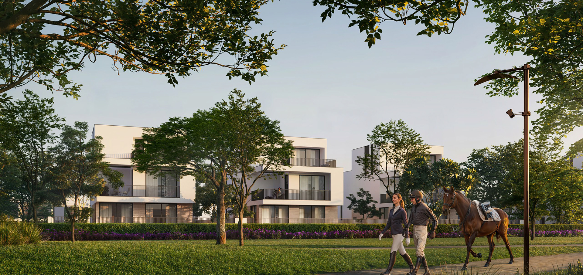 Features and Amenities