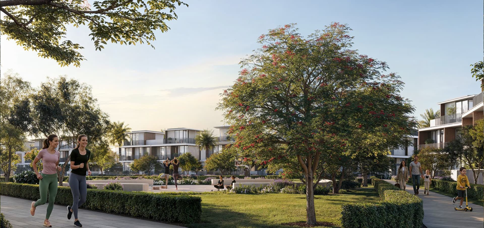 Features and Amenities