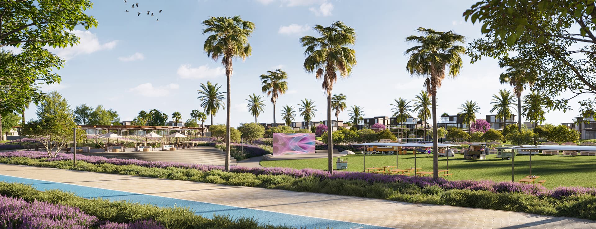 Features and Amenities