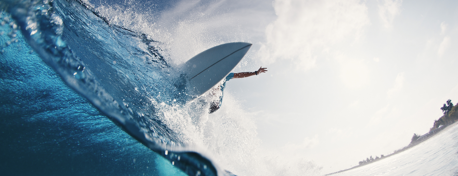 Community Highlights & Amenities